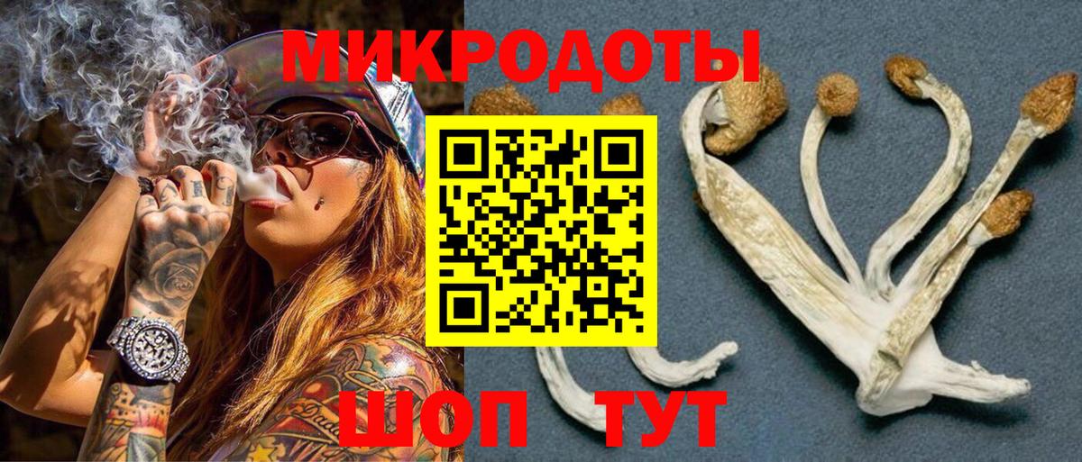 Псилоцибиновые грибы Cubensis Похвистнево
