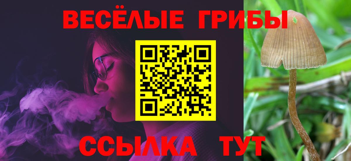 Похвистнево  Псилоцибиновые грибы MAGIC MUSHROOMS  хочу   Вход с VPN 
